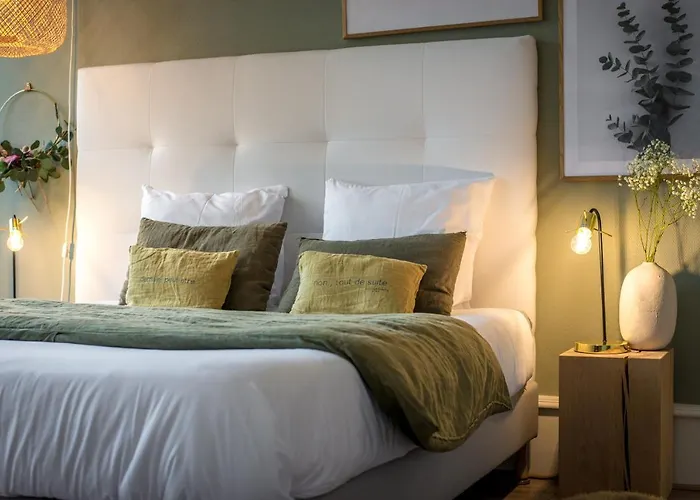 Hello Colmar, Duplex Cathedrale, Historic Center 公寓 科尔马